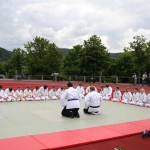 Vorführung-2013