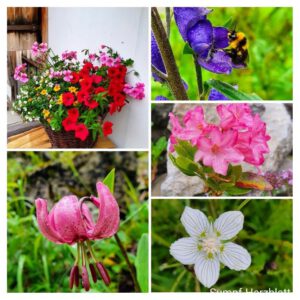 Konditionsgruppe Kleinwalsertal 2022